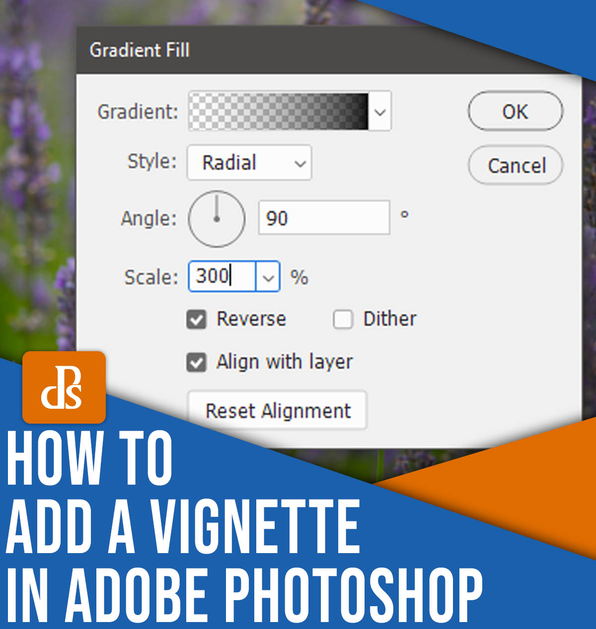 How to add a vignette in Adobe Photoshop
